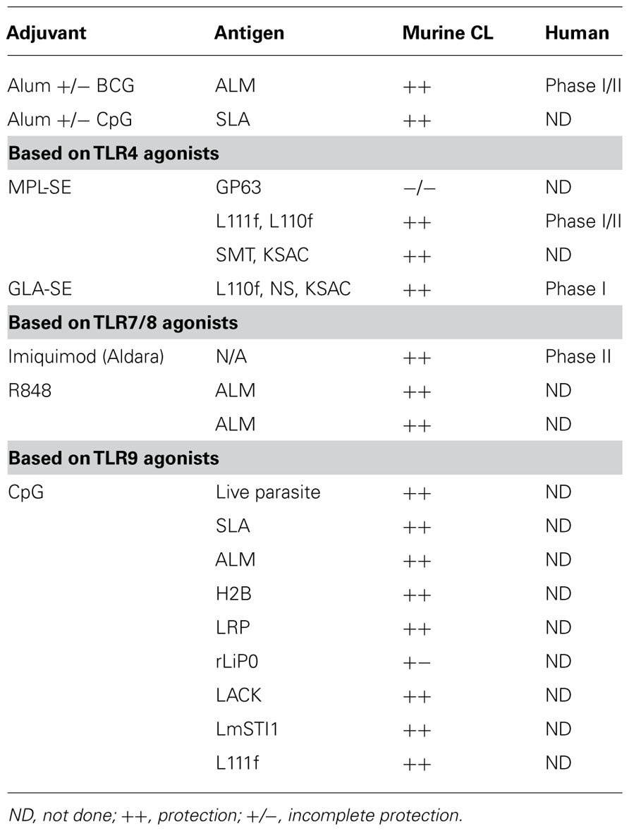 Frontiers  Adjuvants for Leishmania vaccines: from models to