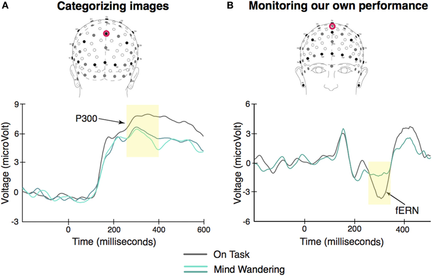 Figure 3 - Mind wandering affects our ability to process events in the environment.