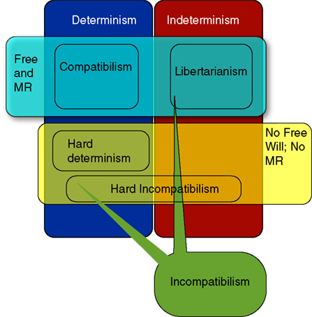 www.frontiersin.org