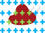www.frontiersin.org