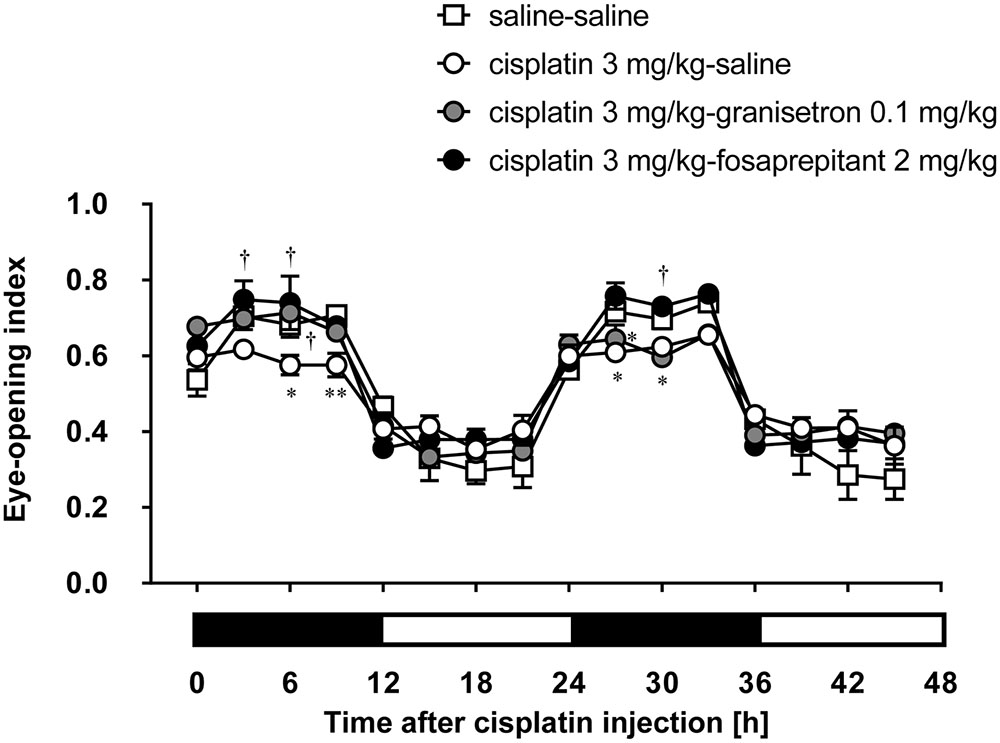 Ivermectin injection in horse