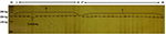 www.frontiersin.org