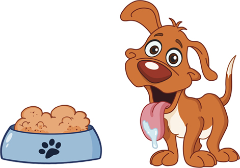 איור 1 - כלב המזיל ריר בעודו מצפה לאכול מקערת המזון שלו.