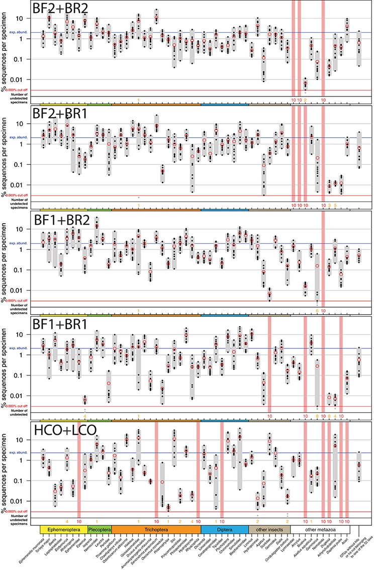 Macroinvertebrate Identification Chart
