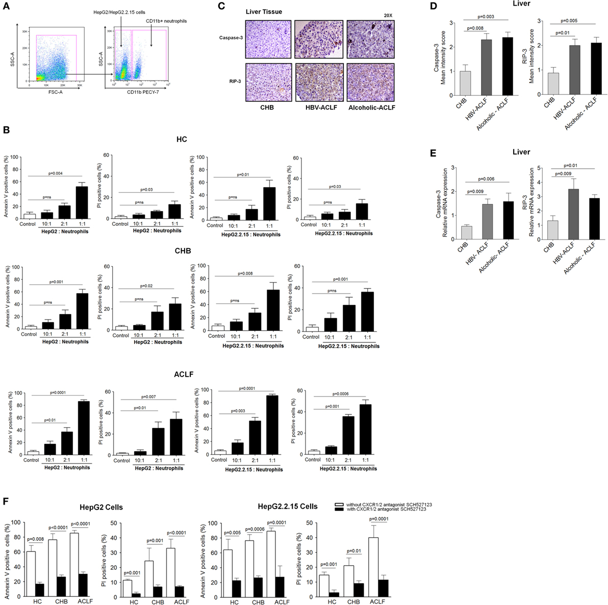 Frontiers | Blockade of Neutrophil's Chemokine Receptors