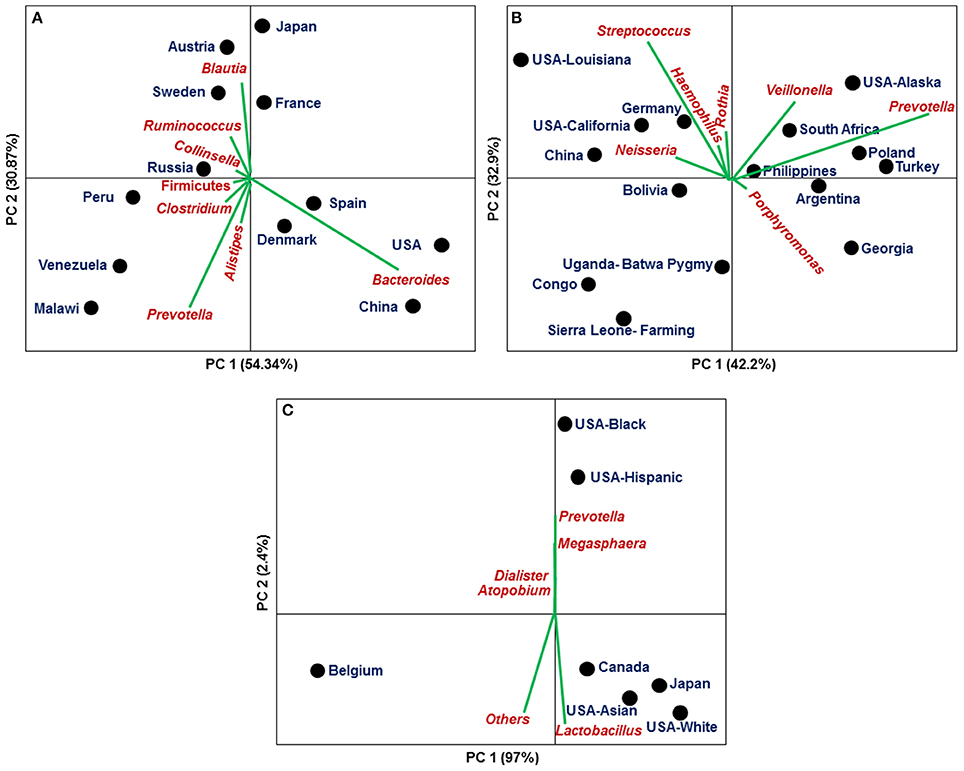 Frontiers  Rhodobacteraceae dominate the core microbiome of the