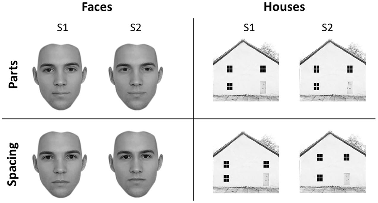 www.frontiersin.org