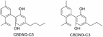 Frontiers | An Overview on Medicinal Chemistry of Synthetic and Natural ...