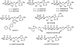 Frontiers | Substrate-Dependence of Competitive Nucleotide ...