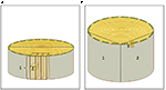 www.frontiersin.org