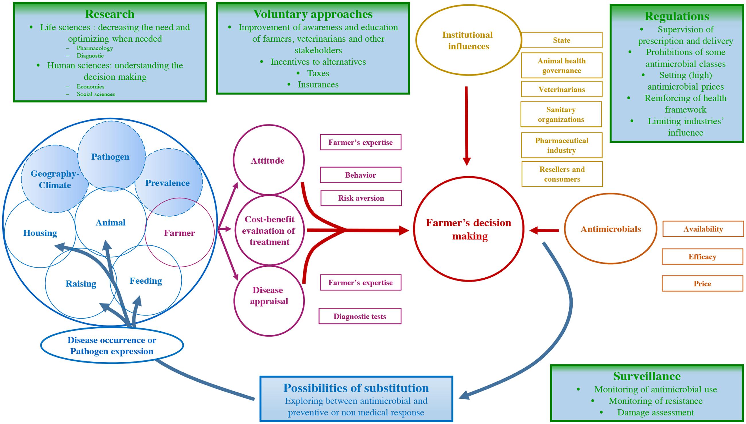 Frontiers | Addressing Antimicrobial Resistance: An Overview of
