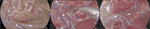 www.frontiersin.org