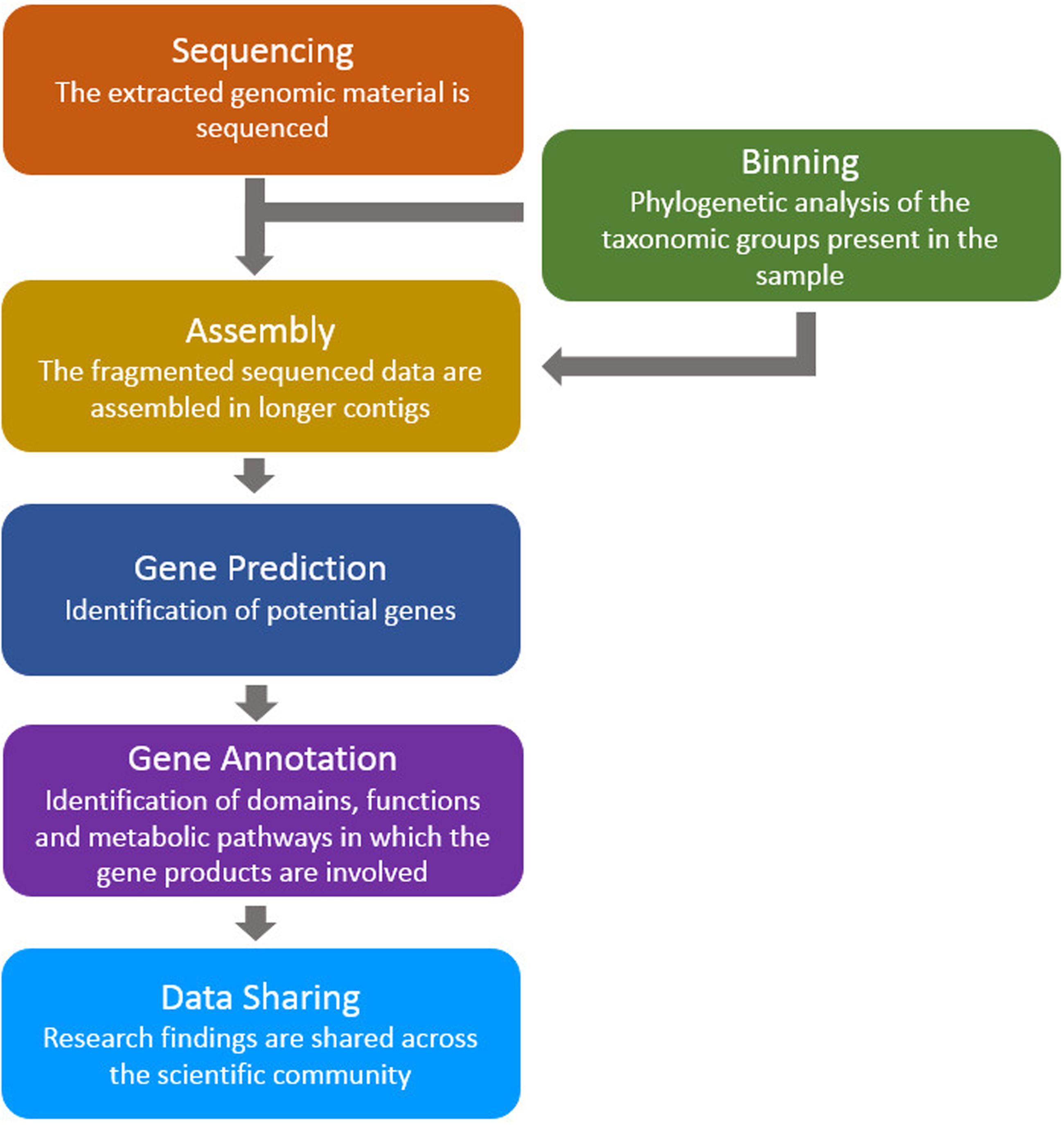 bioinformatics project example