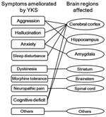auditory hallucination anxiety auditory hallucination anxiety