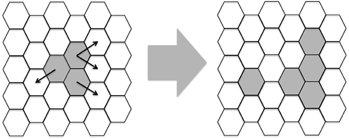 www.frontiersin.org