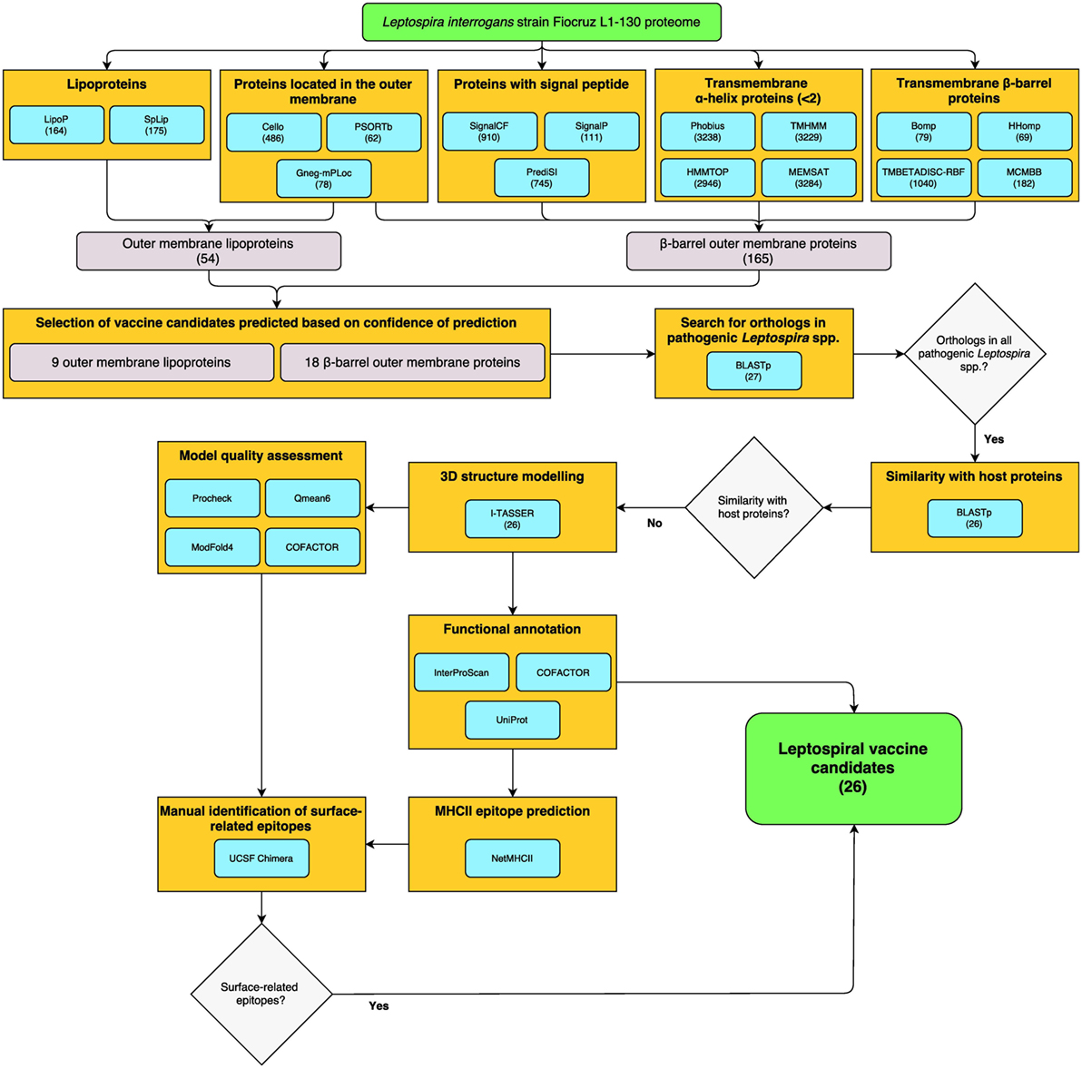 Cdss Org Chart