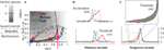 www.frontiersin.org
