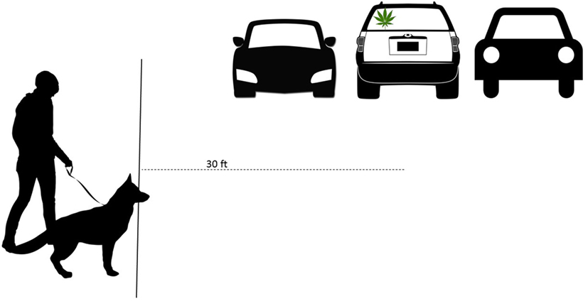 www.frontiersin.org