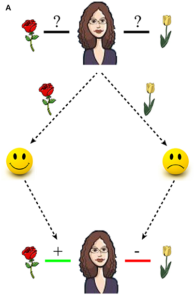 www.frontiersin.org