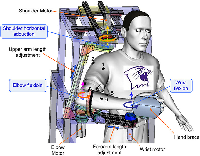 Electromyographic evaluation of upper limb muscles involved in armwrestling  sport simulation during dynamic and static conditions - ScienceDirect