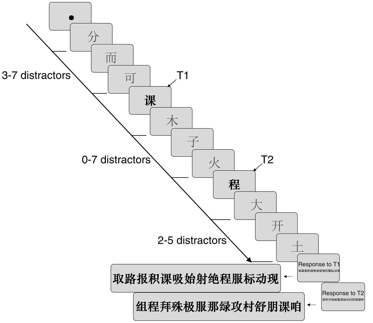 Frontiers | Character Decomposition and Transposition Processes of