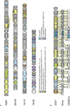 www.frontiersin.org