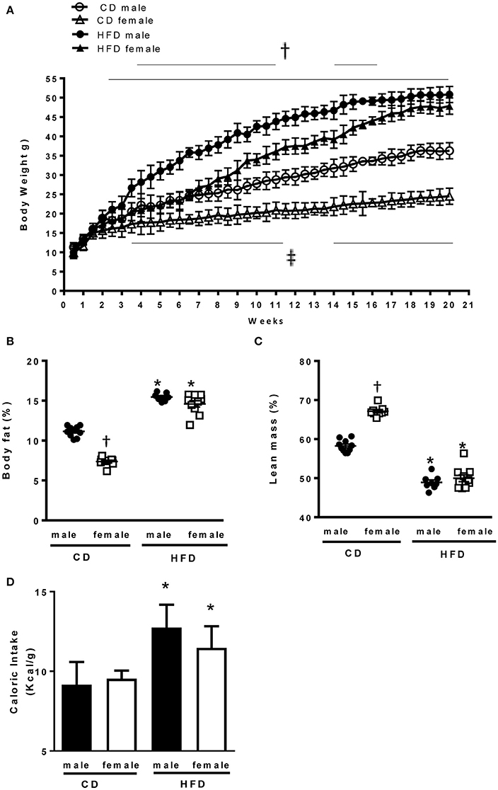Frontiers | Long Term High Fat Diet Treatment: An Appropriate Approach to  Study the Sex-Specificity of the Autonomic and Cardiovascular Responses to  Obesity in Mice