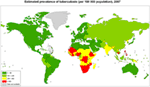 www.frontiersin.org