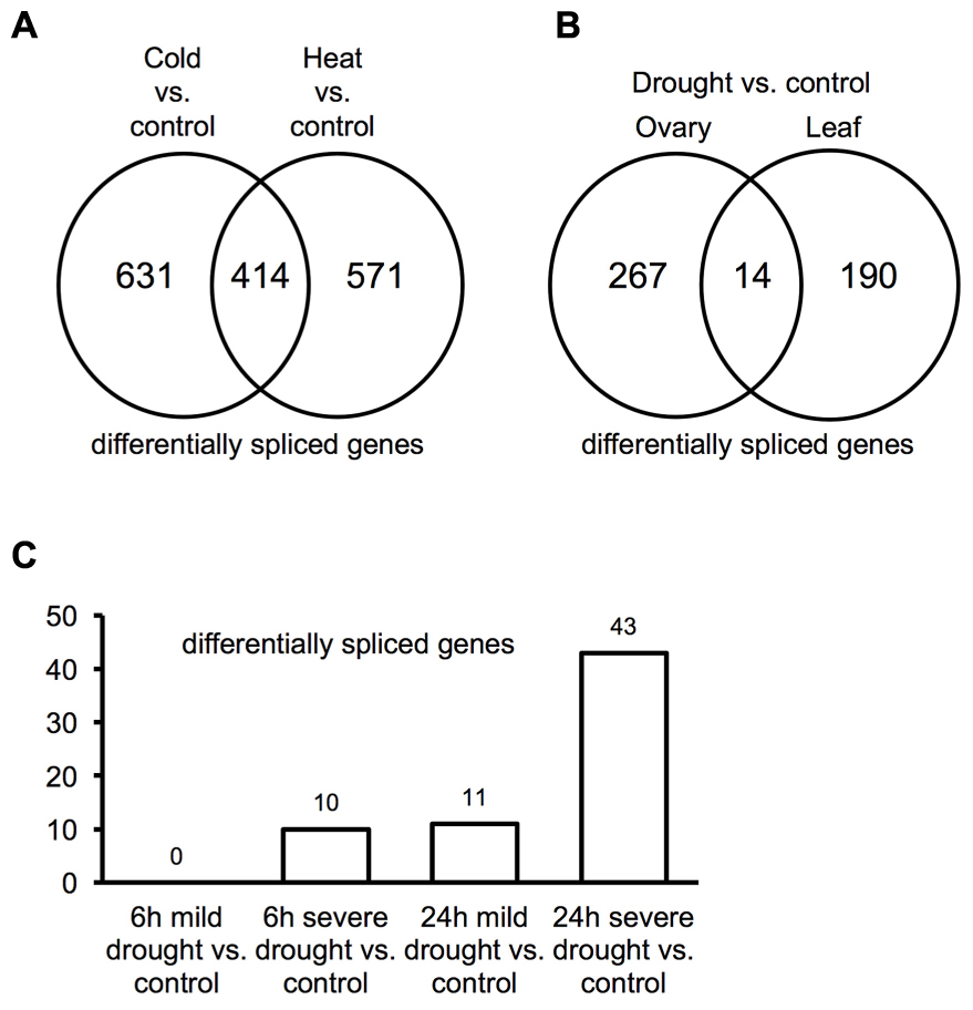 Frontiers | A Comprehensive Analysis of Alternative Splicing in ...