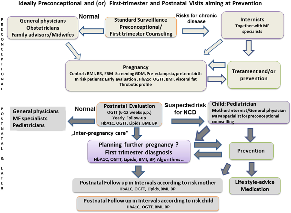 Frontiers Pregnancy An Underutilized Window Of Opportunity To