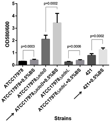 Frontiers | Response to Bile Salts in Clinical Strains of Acinetobacter ...