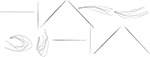 www.frontiersin.org