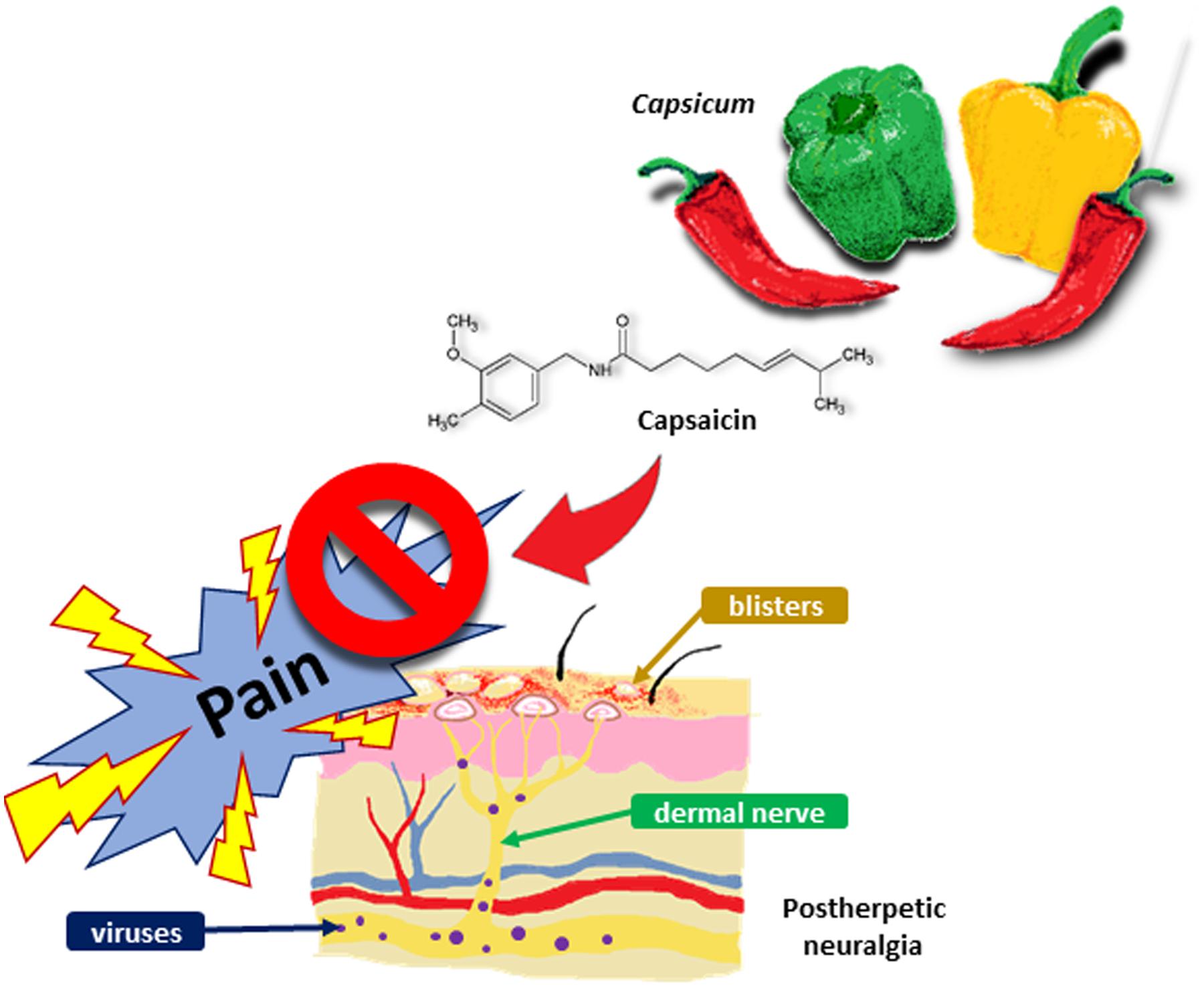 Capsaicin Chart