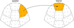 www.frontiersin.org