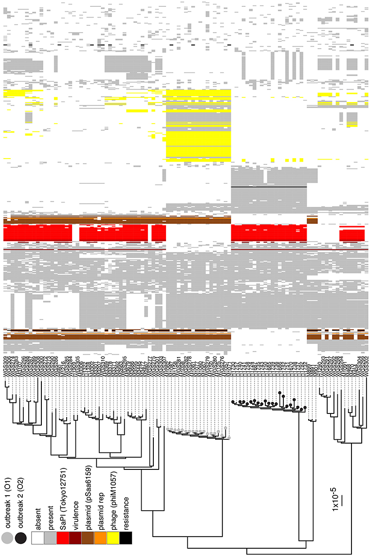 www.frontiersin.org