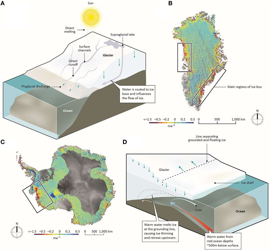 شكل 2 - A- فقدان الجليد في جرينلاند نتيجة الذوبان المباشر، الذي يسببه الهواء الساخن، وجريان المياه نحو المحيط الذي يحدث نتيجة هذا الذوبان.