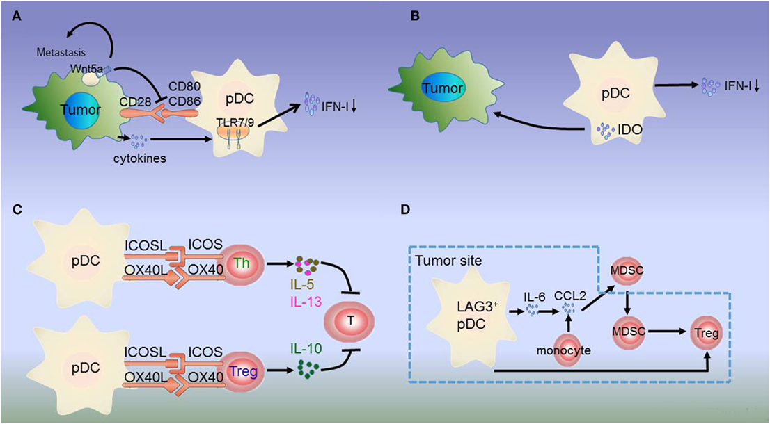 Frontiers | Disease-Associated Plasmacytoid Dendritic Cells