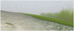 www.frontiersin.org