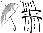 www.frontiersin.org
