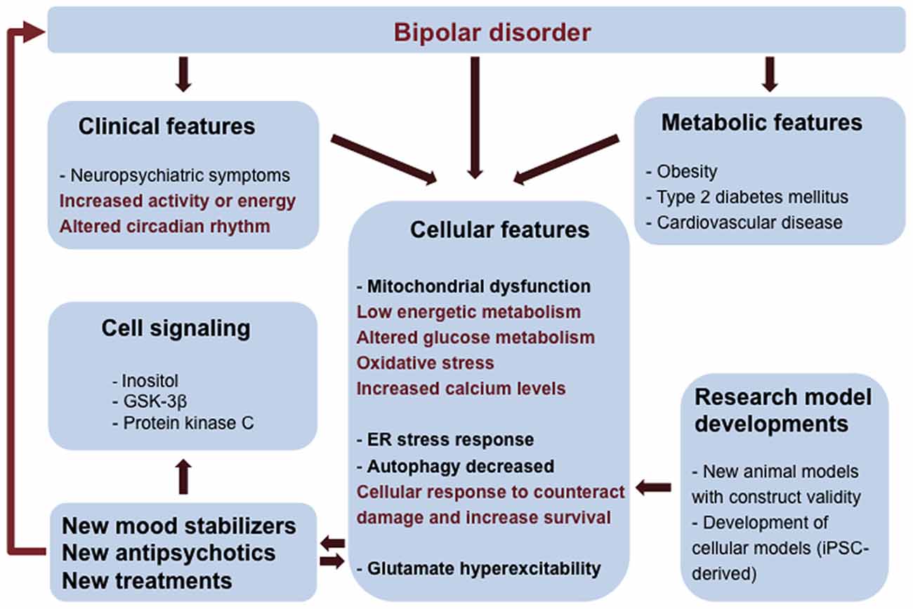 The Bipolar Disorder Survival Guide Mood Chart