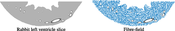 www.frontiersin.org