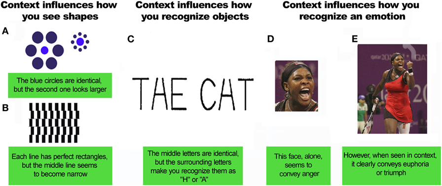 Figure 1 - Contextual affects how you see things.