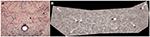 www.frontiersin.org