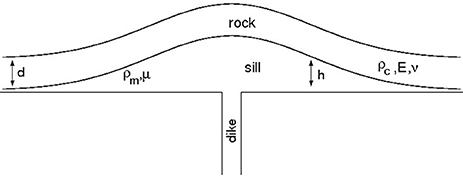 www.frontiersin.org