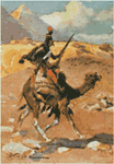 www.frontiersin.org