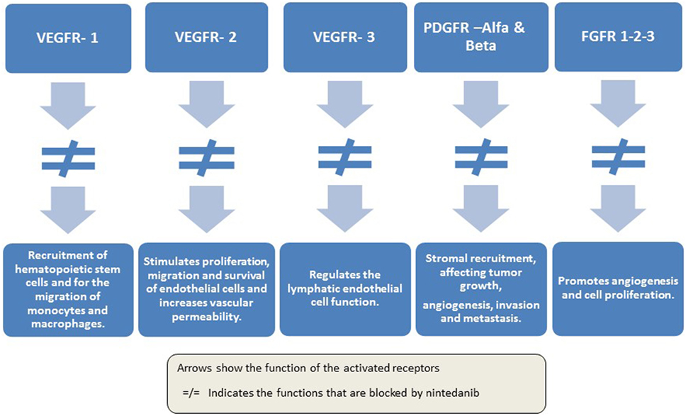 metastatic renal cell carcinoma treatment guidelines