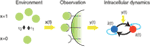 www.frontiersin.org