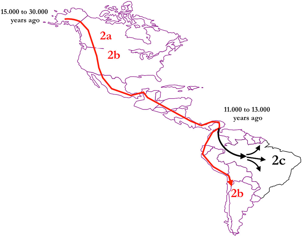 www.frontiersin.org