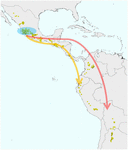 www.frontiersin.org