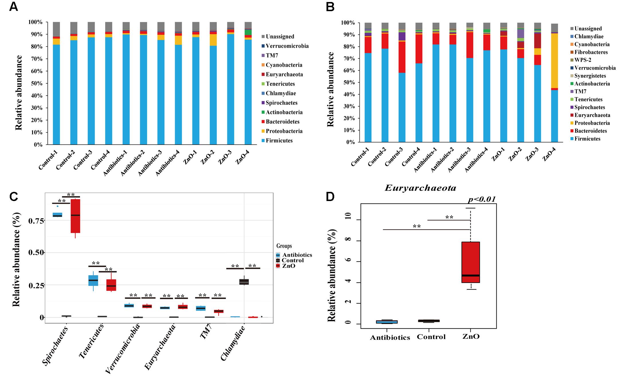 Frontiers  Importance of Zinc Nanoparticles for the Intestinal Microbiome  of Weaned Piglets